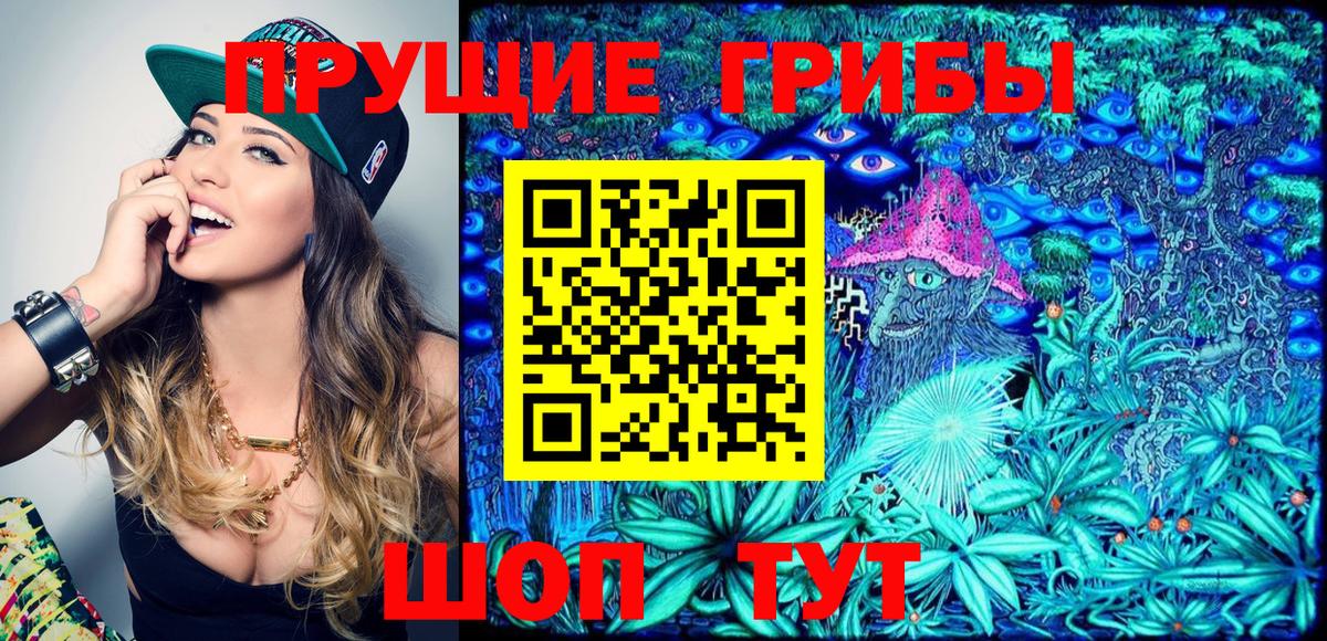 Псилоцибиновые грибы Cubensis Петрозаводск
