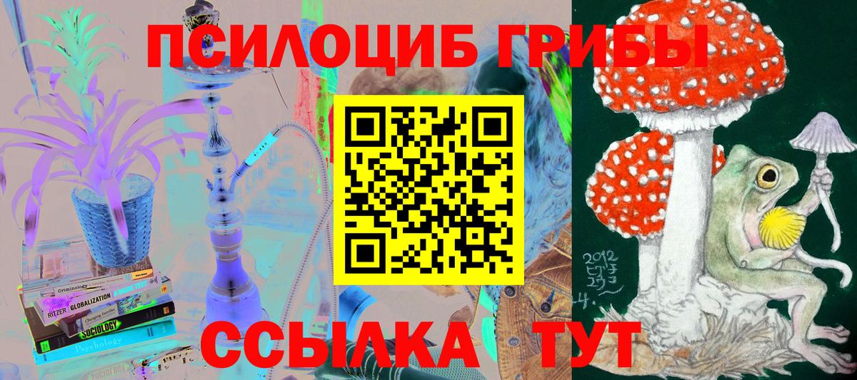 где купить наркоту  Псилоцибиновые грибы Cubensis  Вход с VPN  Петрозаводск 